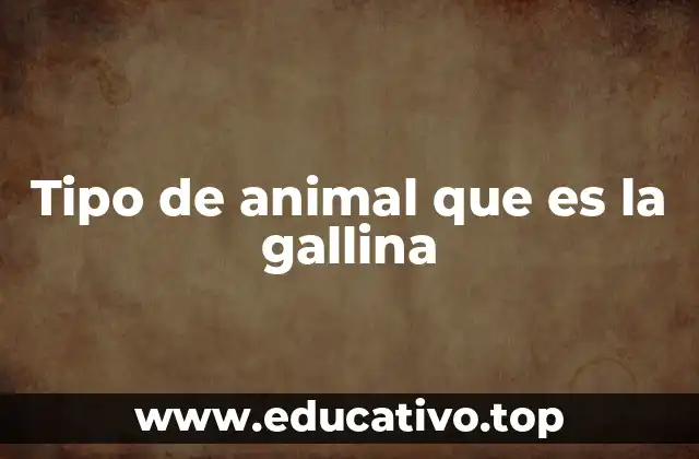 Tipo de animal que es la gallina