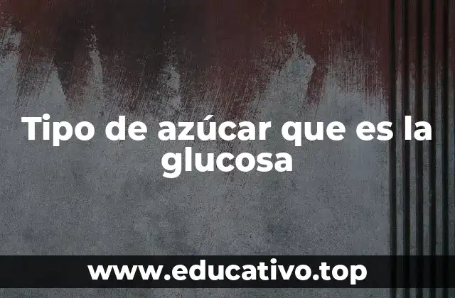 Tipo de azúcar que es la glucosa