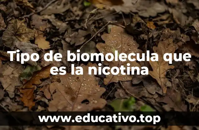 Tipo de biomolecula que es la nicotina