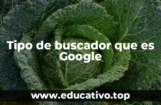 Tipo de buscador que es Google