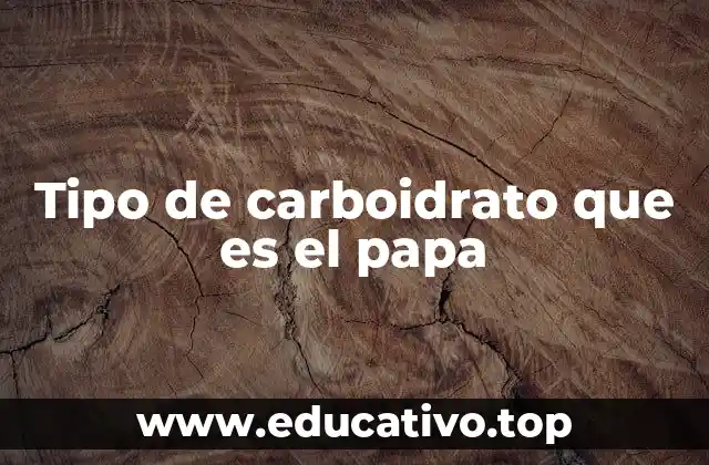 Tipo de carboidrato que es el papa