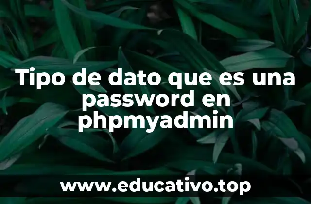 Tipo de dato que es una password en phpmyadmin