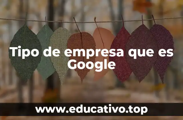 Tipo de empresa que es Google
