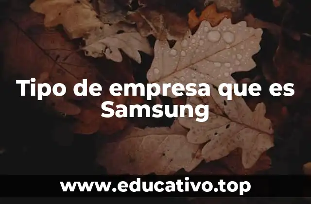 Tipo de empresa que es Samsung