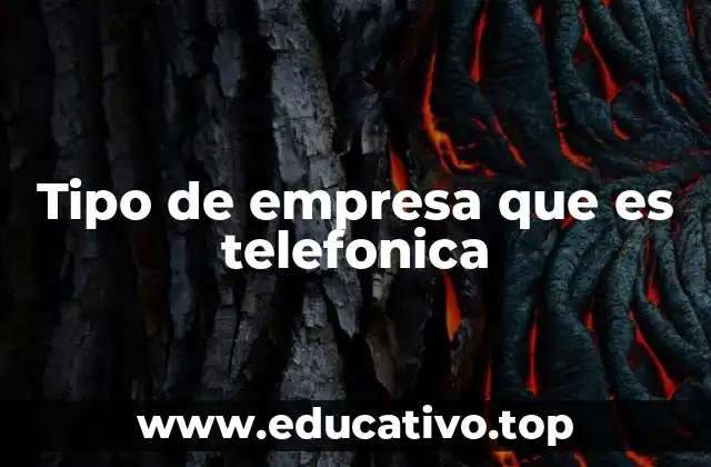 Tipo de empresa que es telefonica