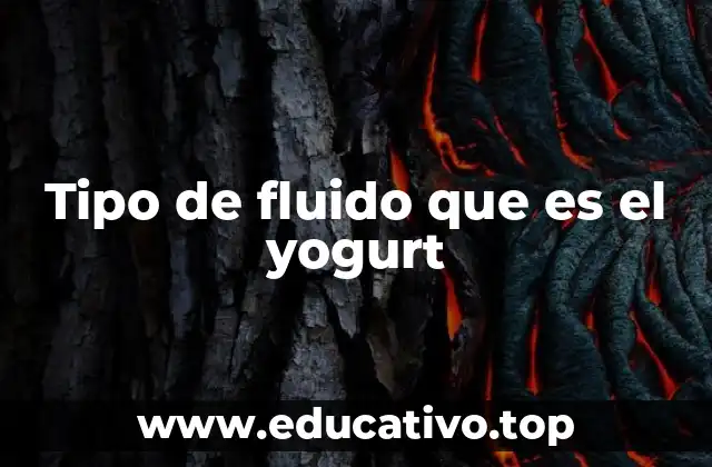 Tipo de fluido que es el yogurt