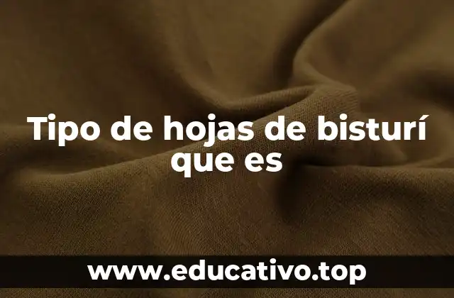 Tipo de hojas de bisturí que es