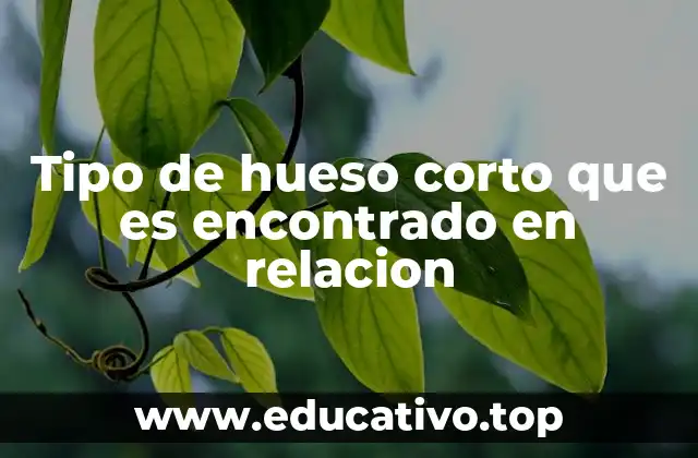 Tipo de hueso corto que es encontrado en relacion