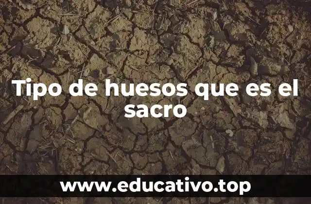 Tipo de huesos que es el sacro