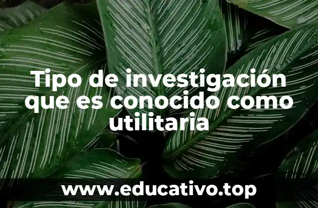 Tipo de investigación que es conocido como utilitaria