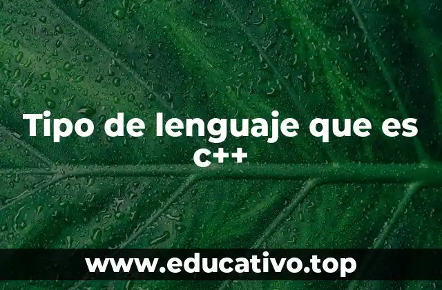 Tipo de lenguaje que es c++
