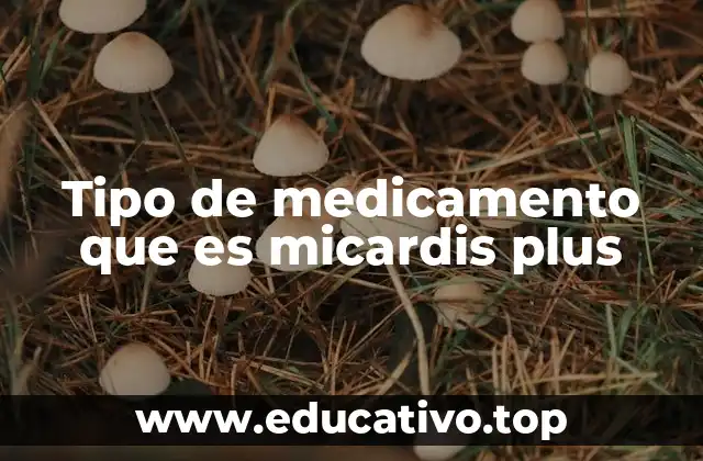 Tipo de medicamento que es micardis plus