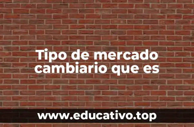 Tipo de mercado cambiario que es