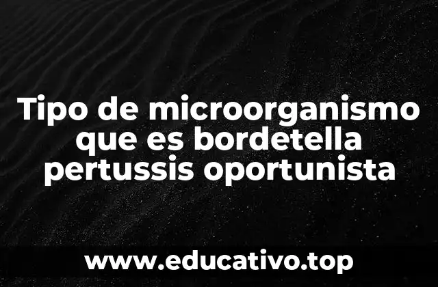 Tipo de microorganismo que es bordetella pertussis oportunista