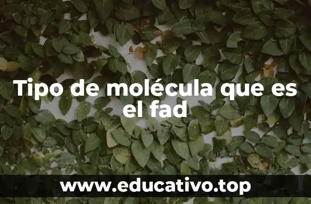 Tipo de molécula que es el fad