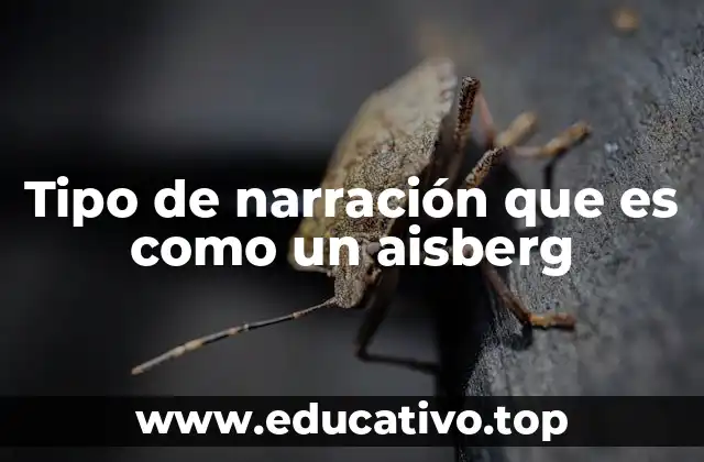 Tipo de narración que es como un aisberg