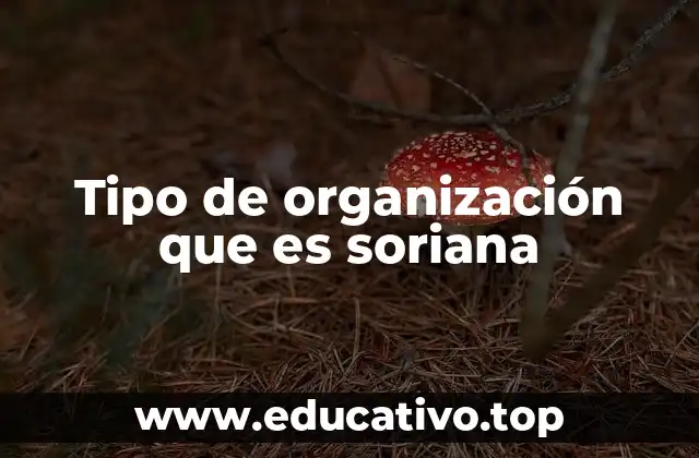 Tipo de organización que es soriana