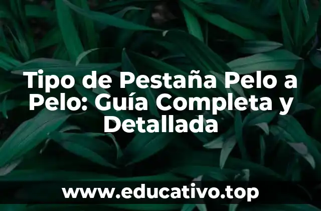 Tipo de Pestaña Pelo a Pelo: Guía Completa y Detallada
