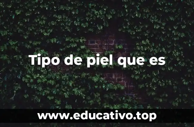Tipo de piel que es