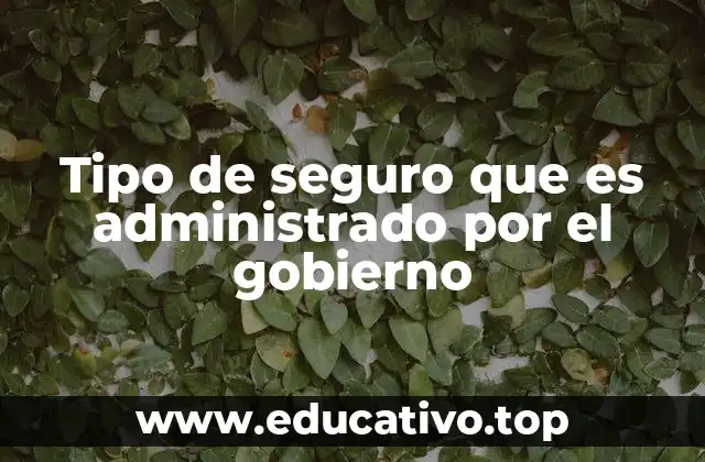 Tipo de seguro que es administrado por el gobierno