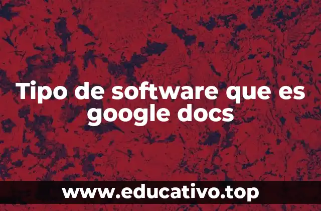 Tipo de software que es google docs