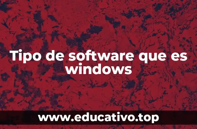 Tipo de software que es windows