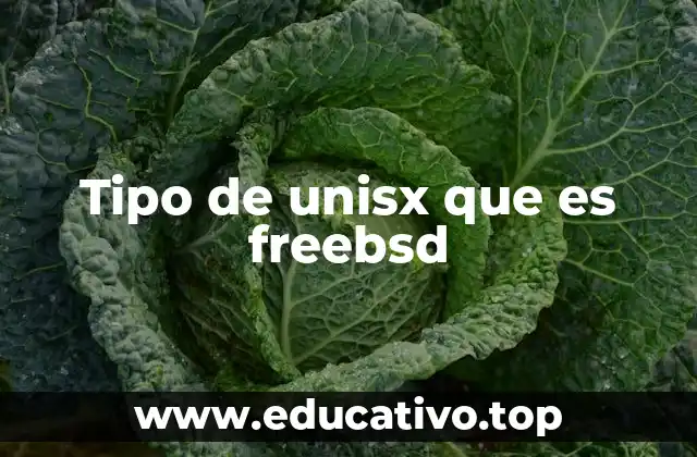 Tipo de unisx que es freebsd