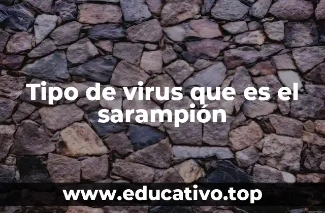 Tipo de virus que es el sarampión