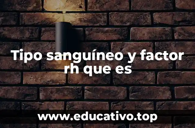 Tipo sanguíneo y factor rh que es
