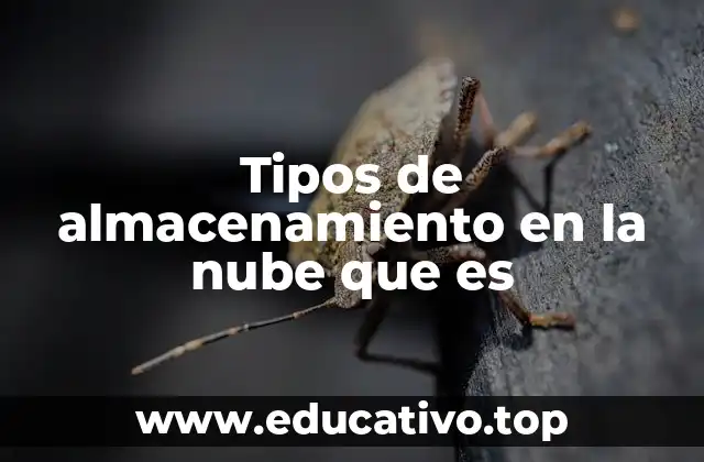 Tipos de almacenamiento en la nube que es