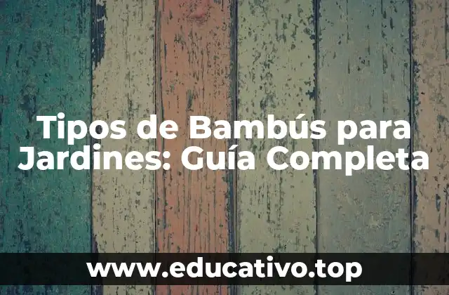 Tipos de Bambús para Jardines: Guía Completa