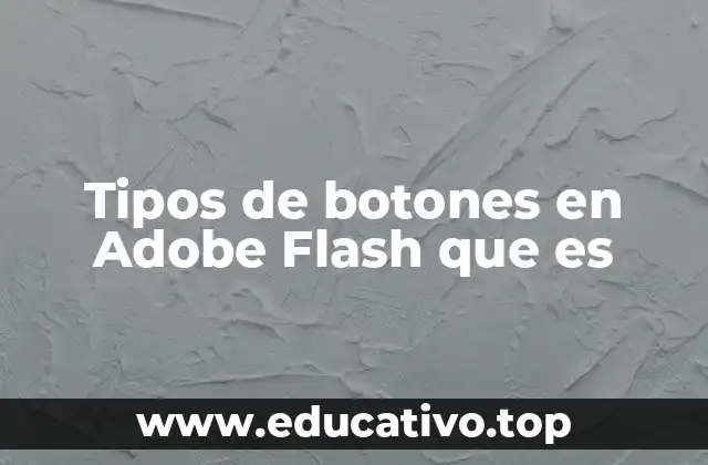 Tipos de botones en Adobe Flash que es