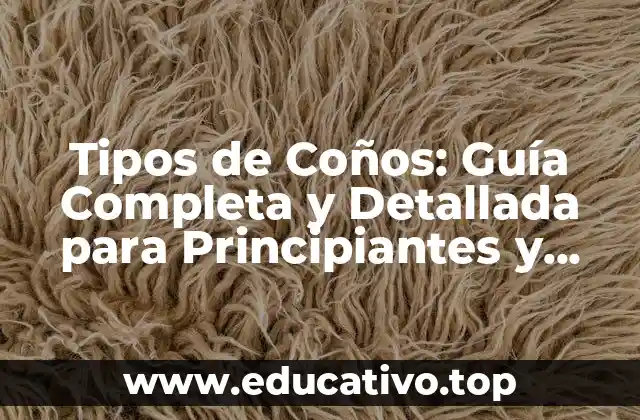 Tipos de Coños: Guía Completa y Detallada para Principiantes y Expertos