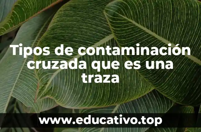 Tipos de contaminación cruzada que es una traza