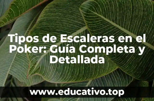Tipos de Escaleras en el Poker: Guía Completa y Detallada