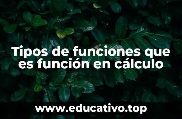 Tipos de funciones que es función en cálculo