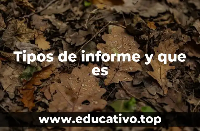 Tipos de informe y que es
