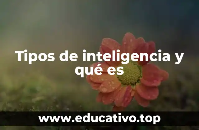 Tipos de inteligencia y qué es