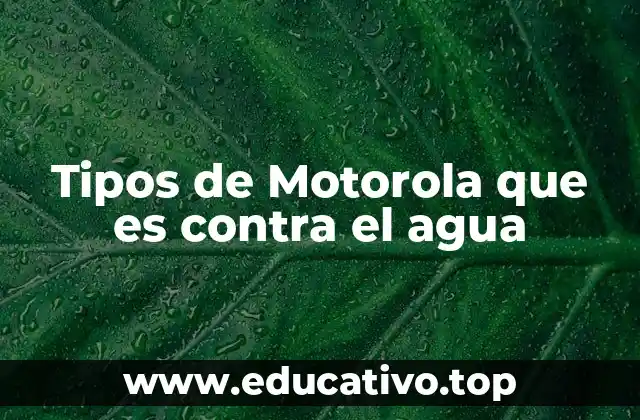 Tipos de Motorola que es contra el agua