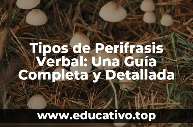 Tipos de Perifrasis Verbal: Una Guía Completa y Detallada