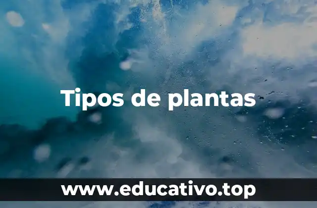 Tipos de plantas
