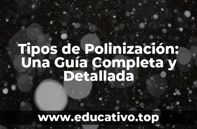 Tipos de Polinización: Una Guía Completa y Detallada