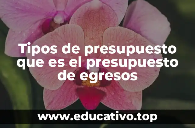 Tipos de presupuesto que es el presupuesto de egresos
