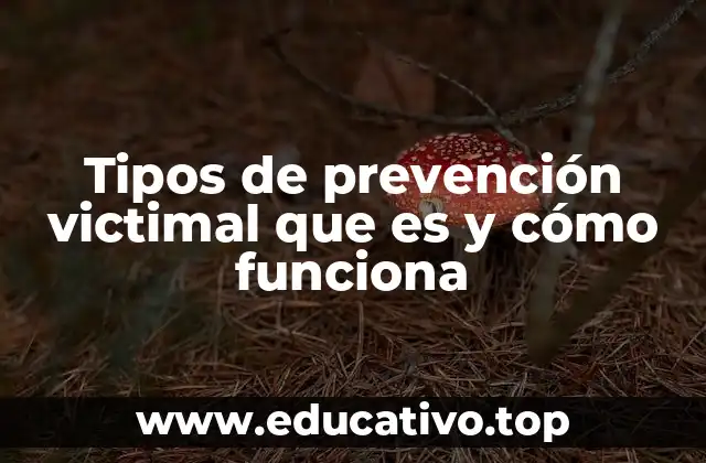 Tipos de prevención victimal que es y cómo funciona