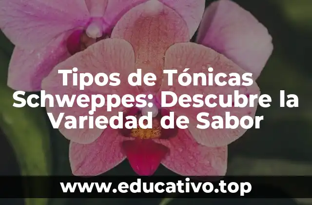 Tipos de Tónicas Schweppes: Descubre la Variedad de Sabor