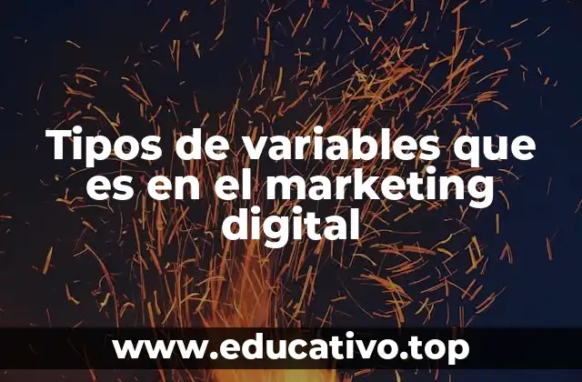 Cómo se utilizan las variables en el análisis digital