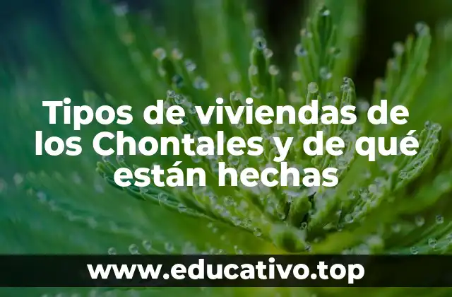 Tipos de viviendas de los Chontales y de qué están hechas