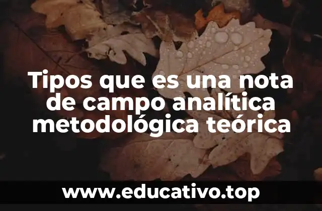 Tipos que es una nota de campo analítica metodológica teórica