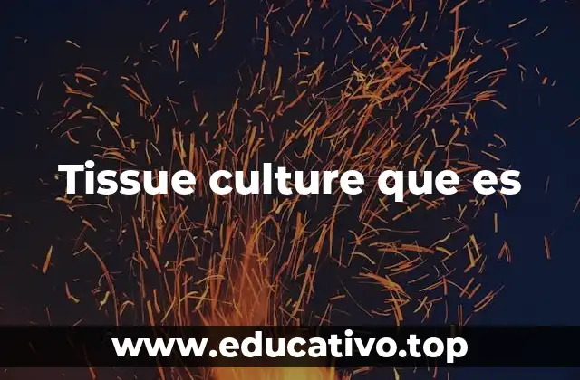 Tissue culture que es