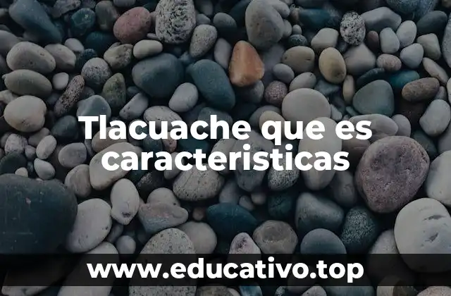 Tlacuache que es caracteristicas